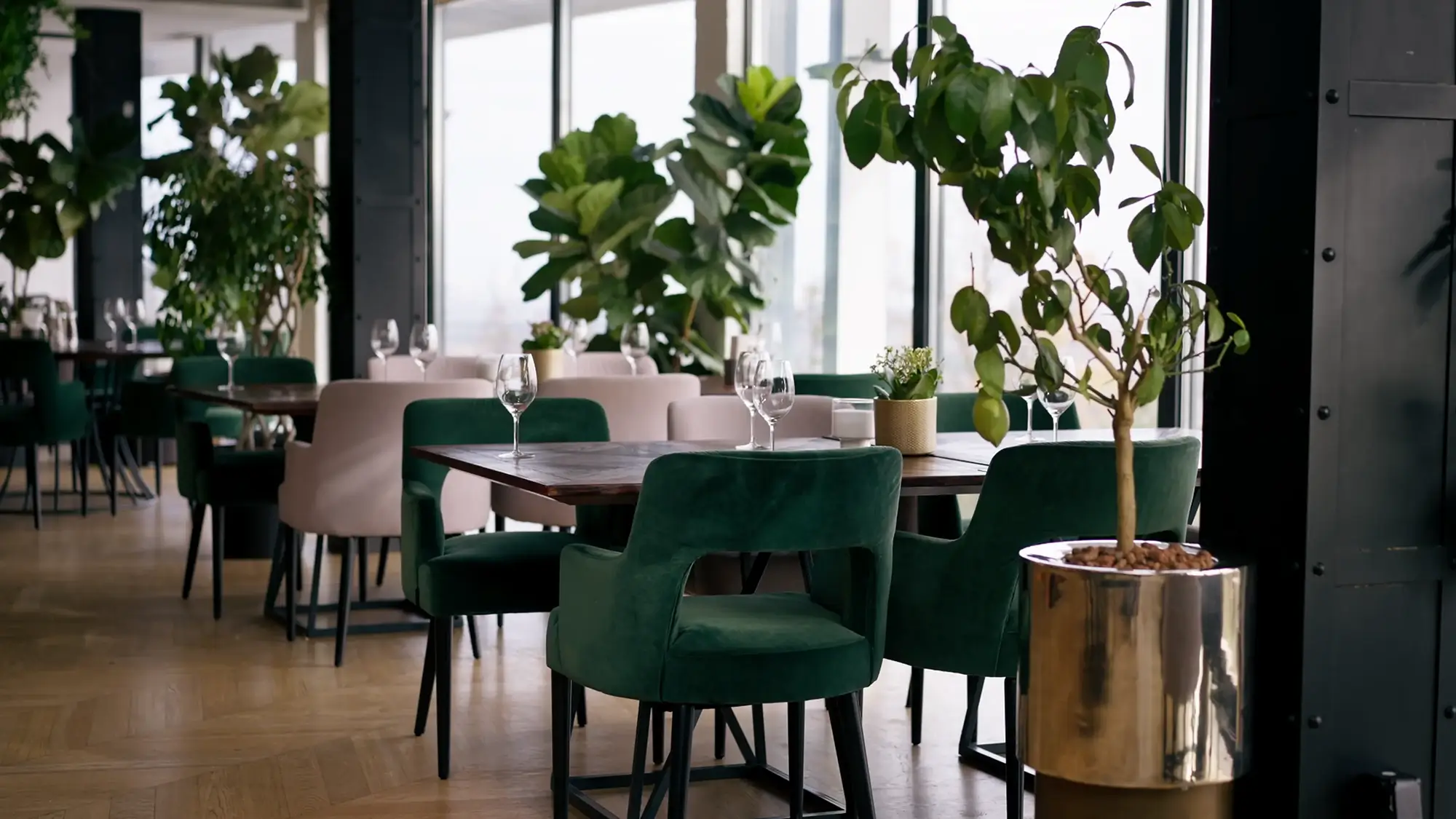 Restaurant construction and buildouts by Pillars of Seven